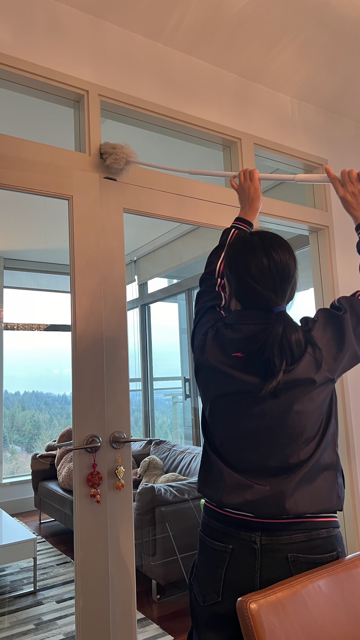 Team member dusting high window frames with scenic mountain view behind